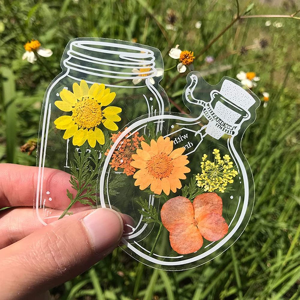 30Pcs DIY Transparent Dried Fl – обзор и цена Dried Flower Bookmark
