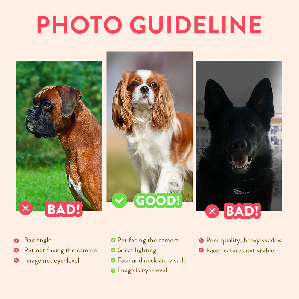 Personalized Pet Portraits Pho – обзор и цена Pet Portrait Custom