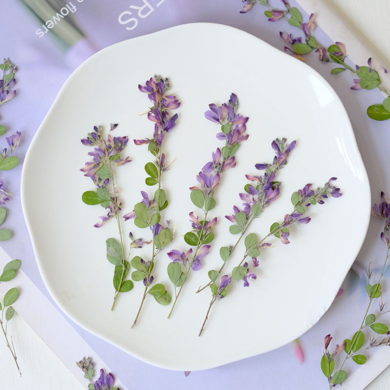 6pcs,nature Lespedeza Formosa  – обзор и цена Dried Flower Bookmark