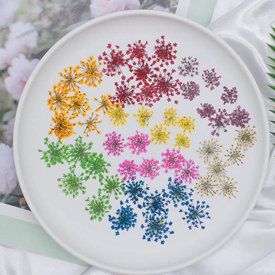 60pcs Pressed Dried 15-20mm Am – обзор и цена Dried Flower Bookmark
