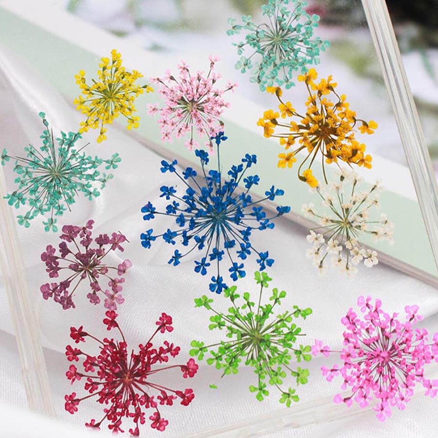 60pcs Pressed Dried 15-20mm Am – обзор и цена Dried Flower Bookmark