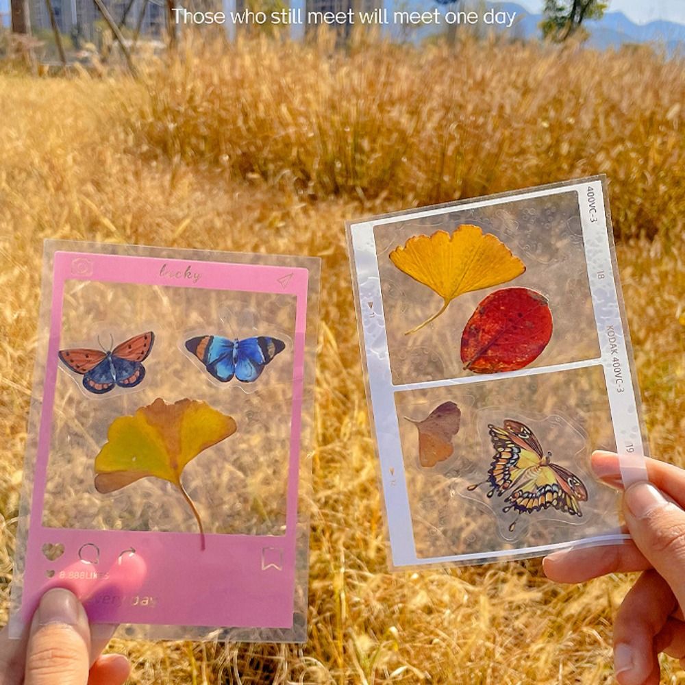 DIY Materials DIY Dried Flower – обзор и цена Dried Flower Bookmark