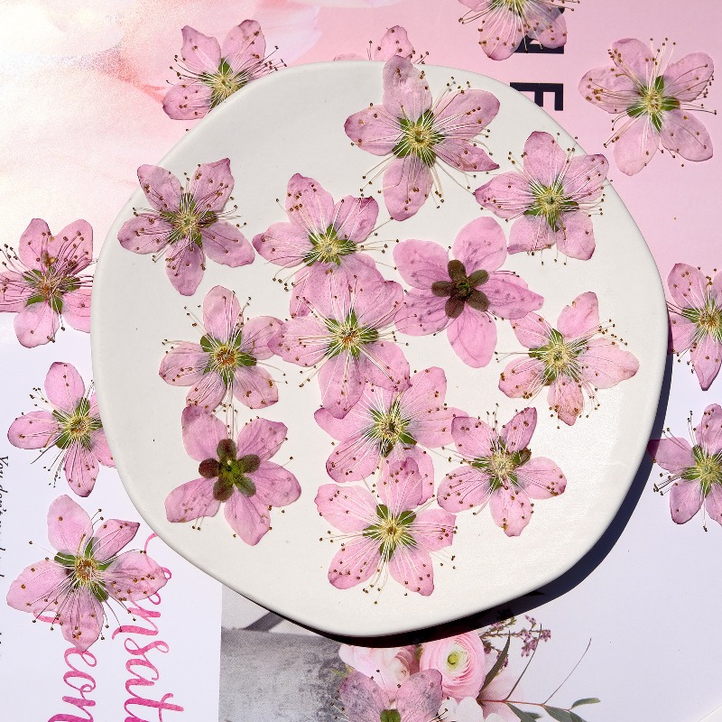 3-4cm./6pcs,Pink Peach Blossom – обзор и цена Dried Flower Bookmark
