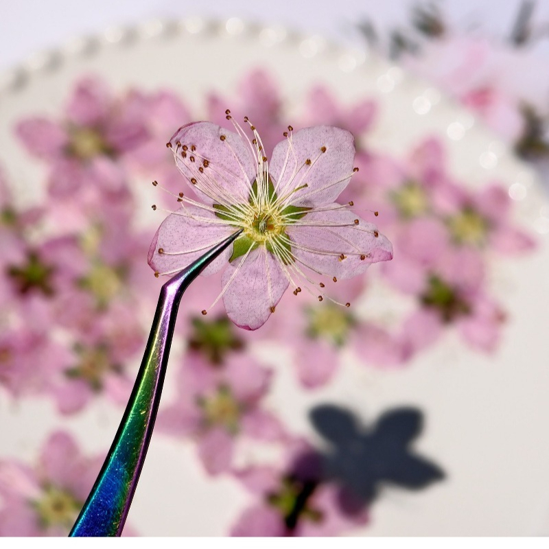 3-4cm./6pcs,Pink Peach Blossom – обзор и цена Dried Flower Bookmark