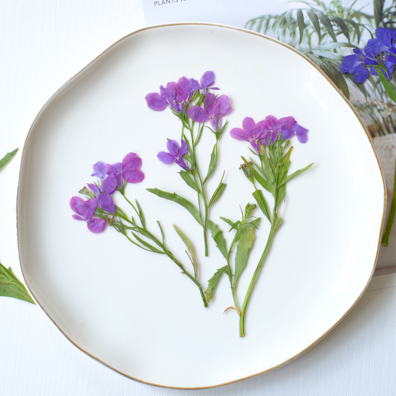 6pcs/8-13cm,nature Lobelia Eri – обзор и цена Dried Flower Bookmark