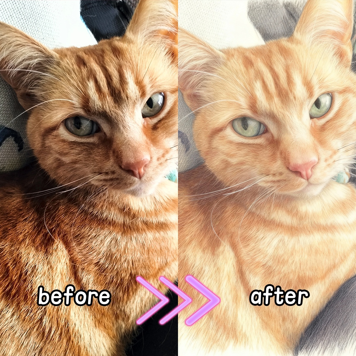 Personalized Custom Colored Pe – обзор и цена Pet Portrait Custom