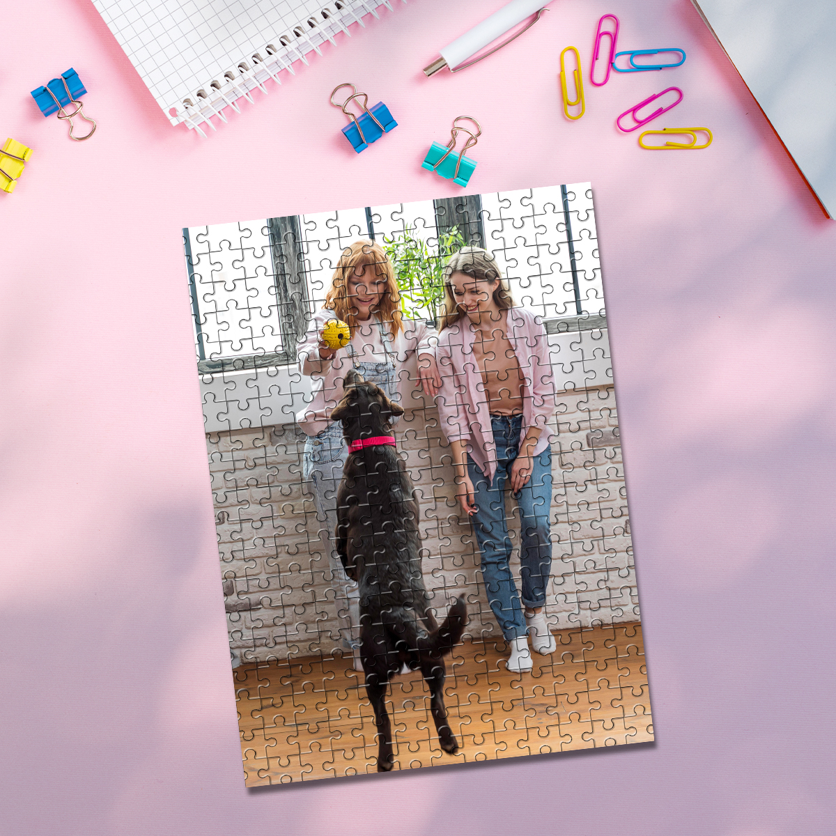 35/150/300/500/1000pcs Persona – обзор и цена Pet Portrait Custom
