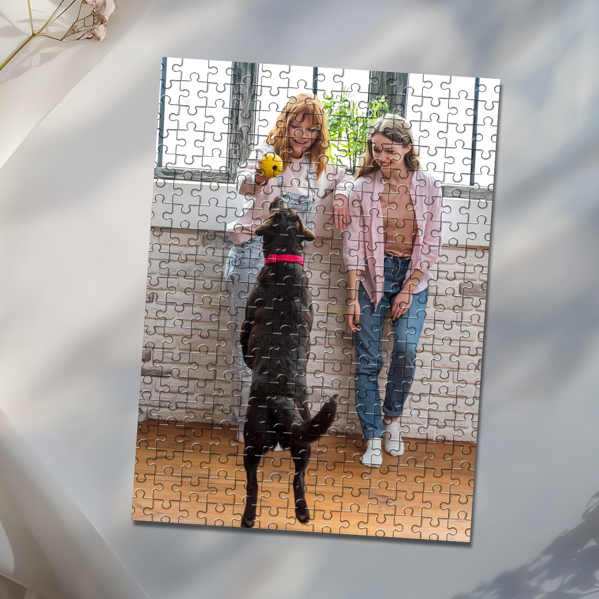 35/150/300/500/1000pcs Persona – обзор и цена Pet Portrait Custom