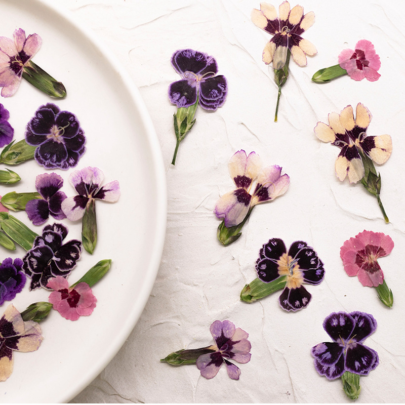 24pcs,Pressed Dried Dianthus F – обзор и цена Dried Flower Bookmark