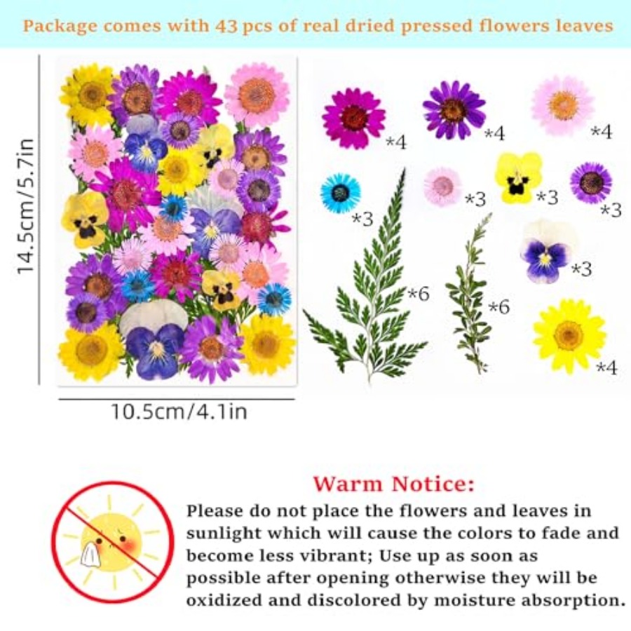 Cardstock Blank Bookmarks Set, – обзор и цена Dried Flower Bookmark
