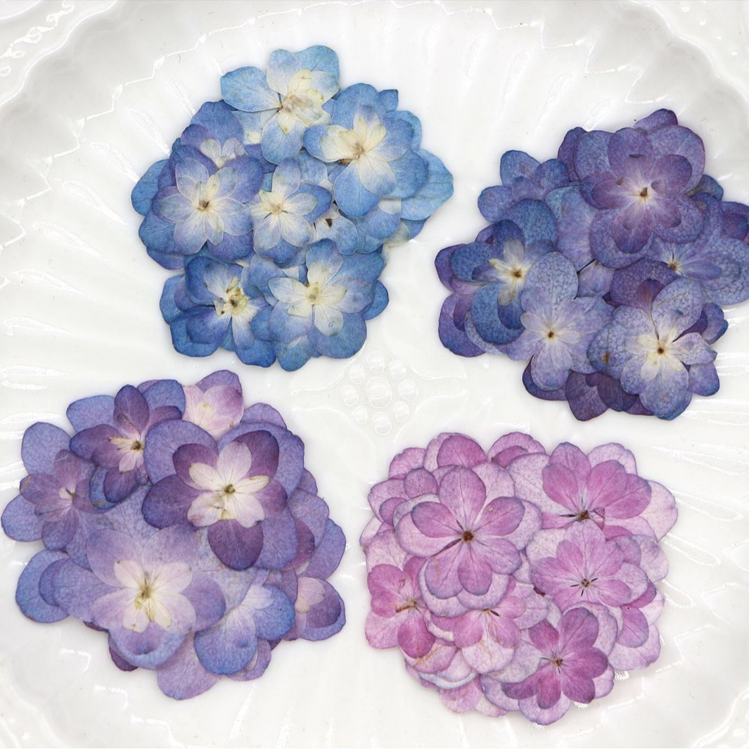 60Pcs Mini Double-Flowered Hyd – обзор и цена Dried Flower Bookmark