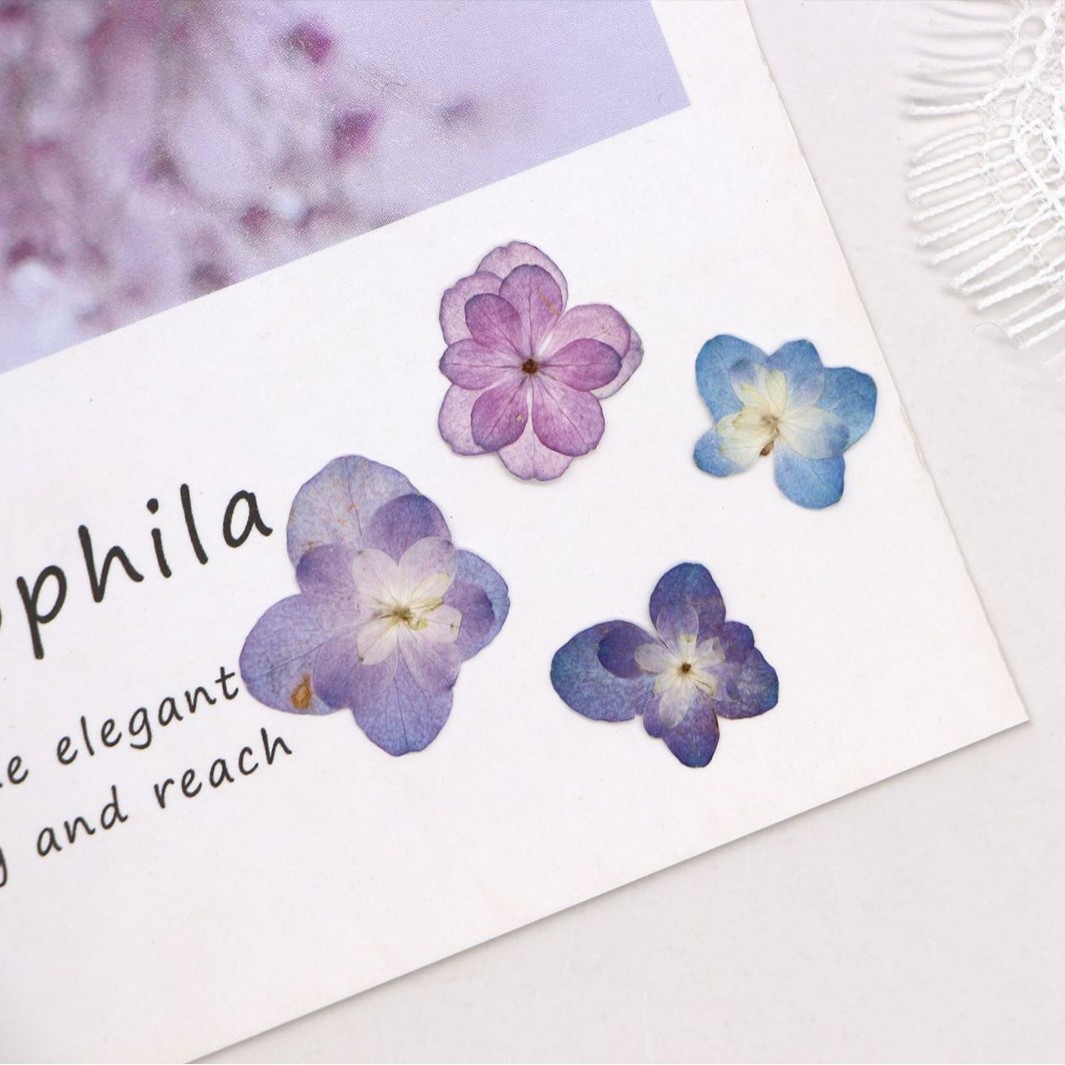 60Pcs Mini Double-Flowered Hyd – обзор и цена Dried Flower Bookmark