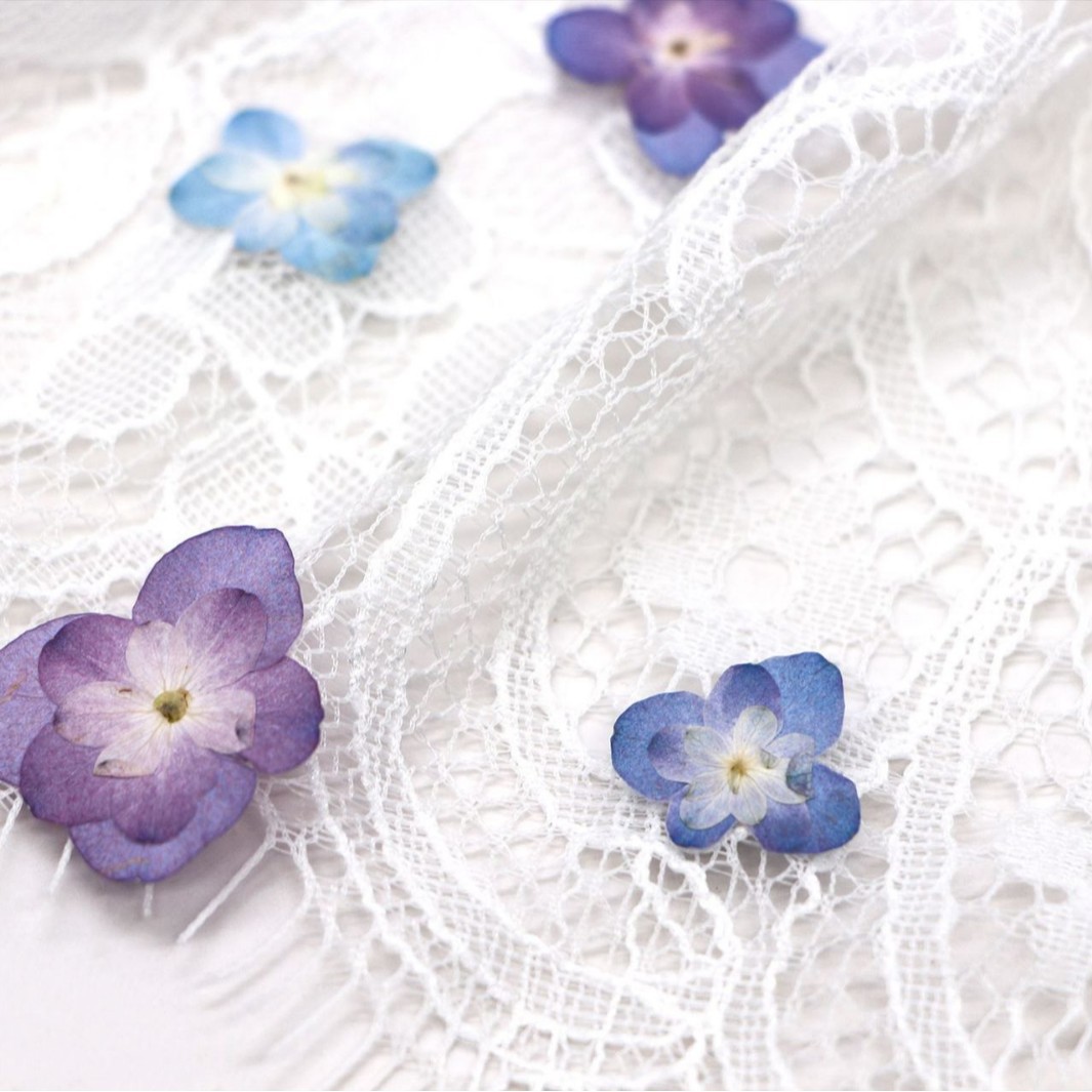 60Pcs Mini Double-Flowered Hyd – обзор и цена Dried Flower Bookmark