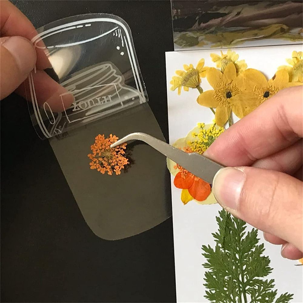 30Pcs Transparent Dried Flower – обзор и цена Dried Flower Bookmark