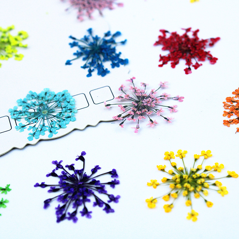 500pcs Lace Flowers Dried Flow – обзор и цена Dried Flower Bookmark