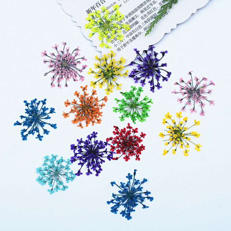 500pcs Lace Flowers Dried Flow – обзор и цена Dried Flower Bookmark