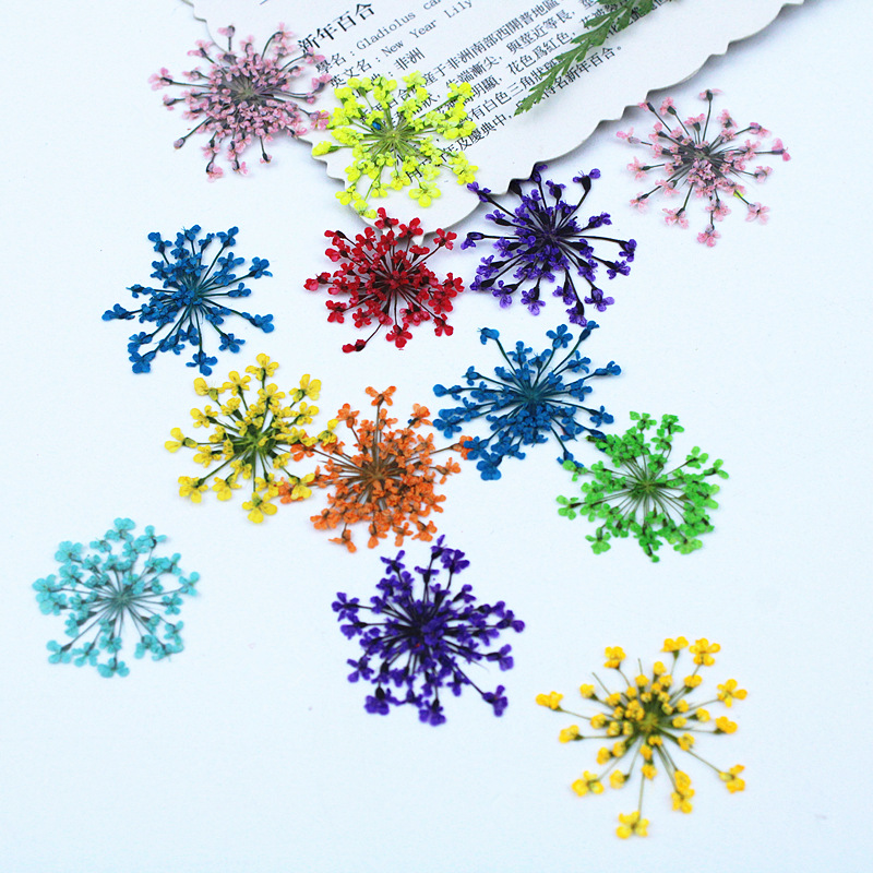 500pcs Lace Flowers Dried Flow – обзор и цена Dried Flower Bookmark